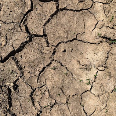 Çatlak yeryüzü arka planı. Toprak yüzeyinde çatlaklar var. Çamur çatlakları.