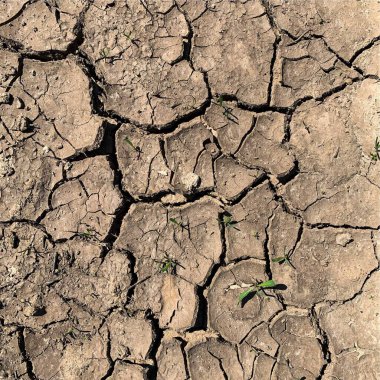 Çatlak yeryüzü arka planı. Toprak yüzeyinde çatlaklar var. Çamur çatlakları.
