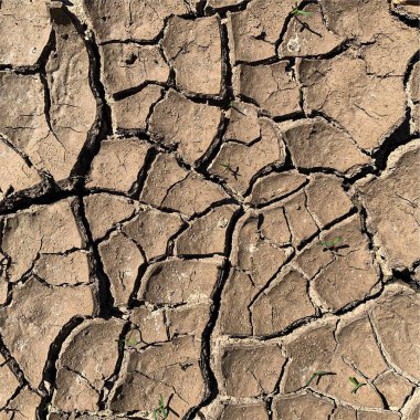 Çatlak yeryüzü arka planı. Toprak yüzeyinde çatlaklar var. Çamur çatlakları.