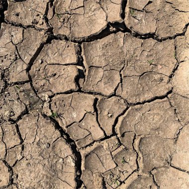 Çatlak yeryüzü arka planı. Toprak yüzeyinde çatlaklar var. Çamur çatlakları.