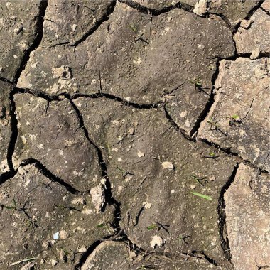 Çatlak yeryüzü arka planı. Toprak yüzeyinde çatlaklar var. Çamur çatlakları.