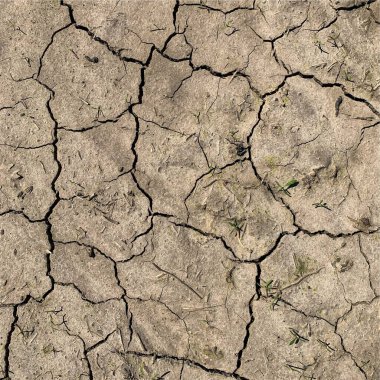 Çatlak yeryüzü arka planı. Toprak yüzeyinde çatlaklar var. Çamur çatlakları.