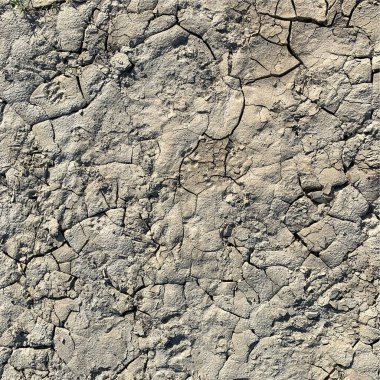 Çatlak yeryüzü arka planı. Toprak yüzeyinde çatlaklar var. Çamur çatlakları.