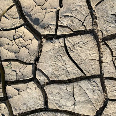 Çatlak yeryüzü arka planı. Toprak yüzeyinde çatlaklar var. Çamur çatlakları.