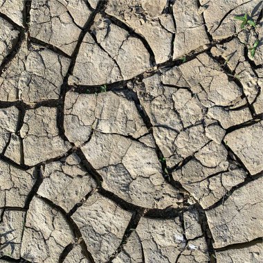 Çatlak yeryüzü arka planı. Toprak yüzeyinde çatlaklar var. Çamur çatlakları.