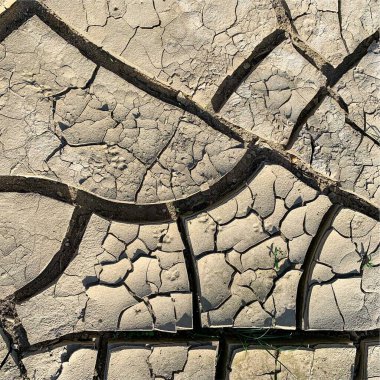 Çatlak yeryüzü arka planı. Toprak yüzeyinde çatlaklar var. Çamur çatlakları.