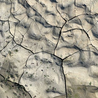 Çatlak yeryüzü arka planı. Toprak yüzeyinde çatlaklar var. Çamur çatlakları.