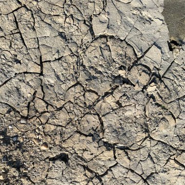 Çatlak yeryüzü arka planı. Toprak yüzeyinde çatlaklar var. Çamur çatlakları.