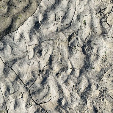 Çatlak yeryüzü arka planı. Toprak yüzeyinde çatlaklar var. Çamur çatlakları.