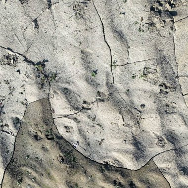 Çatlak yeryüzü arka planı. Toprak yüzeyinde çatlaklar var. Çamur çatlakları.
