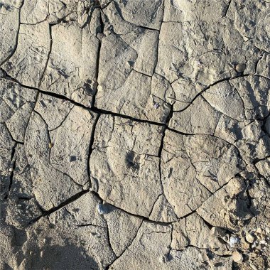 Çatlak yeryüzü arka planı. Toprak yüzeyinde çatlaklar var. Çamur çatlakları.