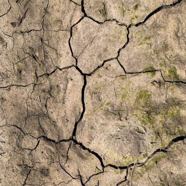 Çatlak yeryüzü arka planı. Toprak yüzeyinde çatlaklar var. Çamur çatlakları.