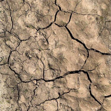Çatlak yeryüzü arka planı. Toprak yüzeyinde çatlaklar var. Çamur çatlakları.
