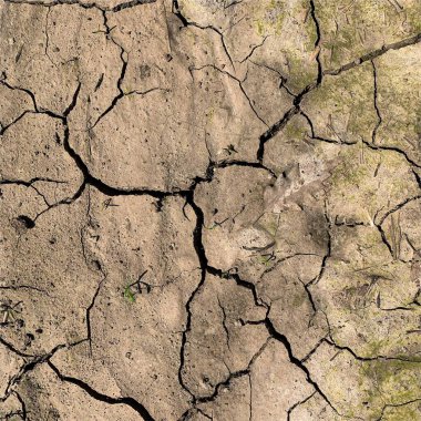 Çatlak yeryüzü arka planı. Toprak yüzeyinde çatlaklar var. Çamur çatlakları.