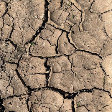 Çatlak yeryüzü arka planı. Toprak yüzeyinde çatlaklar var. Çamur çatlakları.