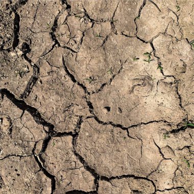 Çatlak yeryüzü arka planı. Toprak yüzeyinde çatlaklar var. Çamur çatlakları.