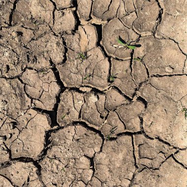 Çatlak yeryüzü arka planı. Toprak yüzeyinde çatlaklar var. Çamur çatlakları.