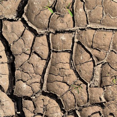 Çatlak yeryüzü arka planı. Toprak yüzeyinde çatlaklar var. Çamur çatlakları.