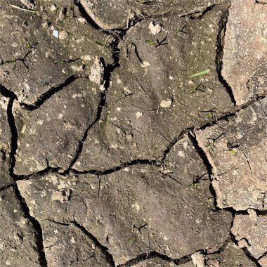 Çatlak yeryüzü arka planı. Toprak yüzeyinde çatlaklar var. Çamur çatlakları.