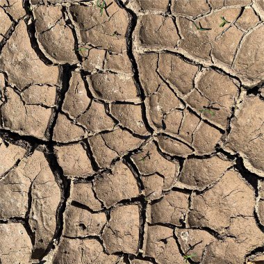 Çatlak yeryüzü arka planı. Toprak yüzeyinde çatlaklar var. Çamur çatlakları.