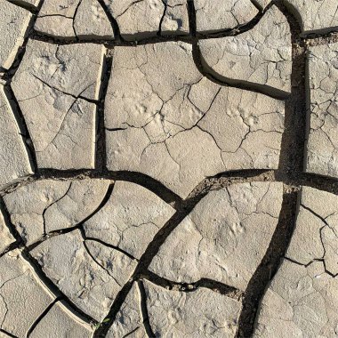 Çatlak yeryüzü arka planı. Toprak yüzeyinde çatlaklar var. Çamur çatlakları.