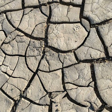 Çatlak yeryüzü arka planı. Toprak yüzeyinde çatlaklar var. Çamur çatlakları.