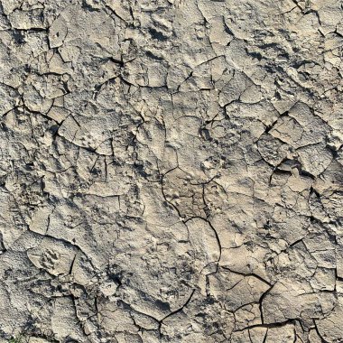 Çatlak yeryüzü arka planı. Toprak yüzeyinde çatlaklar var. Çamur çatlakları.