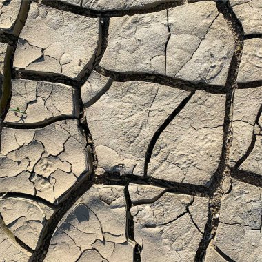 Çatlak yeryüzü arka planı. Toprak yüzeyinde çatlaklar var. Çamur çatlakları.
