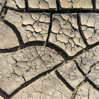 Çatlak yeryüzü arka planı. Toprak yüzeyinde çatlaklar var. Çamur çatlakları.
