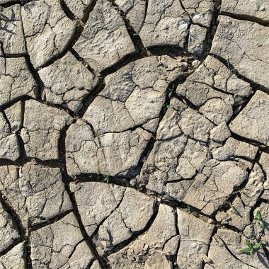 Çatlak yeryüzü arka planı. Toprak yüzeyinde çatlaklar var. Çamur çatlakları.