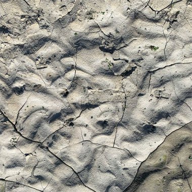 Çatlak yeryüzü arka planı. Toprak yüzeyinde çatlaklar var. Çamur çatlakları.