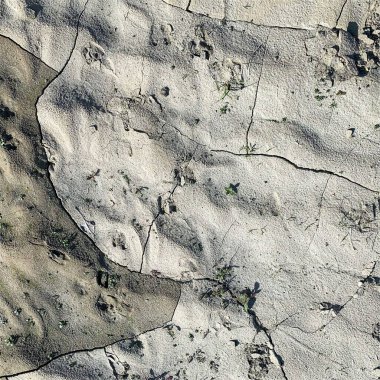 Çatlak yeryüzü arka planı. Toprak yüzeyinde çatlaklar var. Çamur çatlakları.