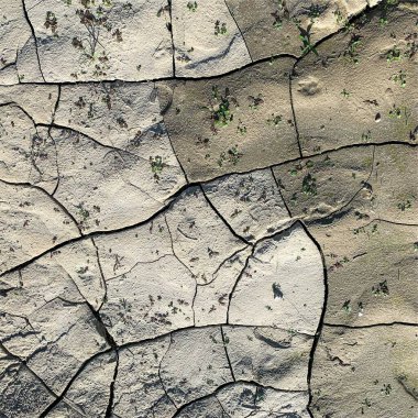 Çatlak yeryüzü arka planı. Toprak yüzeyinde çatlaklar var. Çamur çatlakları.
