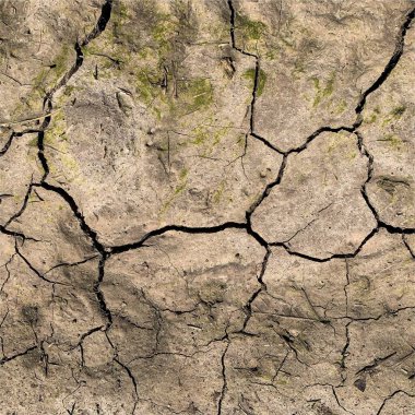 Çatlak yeryüzü arka planı. Toprak yüzeyinde çatlaklar var. Çamur çatlakları.