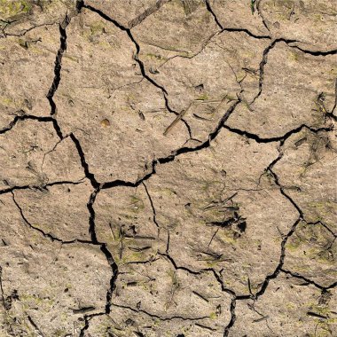 Çatlak yeryüzü arka planı. Toprak yüzeyinde çatlaklar var. Çamur çatlakları.