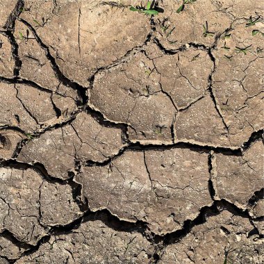 Çatlak yeryüzü arka planı. Toprak yüzeyinde çatlaklar var. Çamur çatlakları.