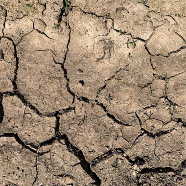Çatlak yeryüzü arka planı. Toprak yüzeyinde çatlaklar var. Çamur çatlakları.
