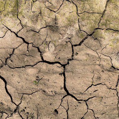 Çatlak yeryüzü arka planı. Toprak yüzeyinde çatlaklar var. Çamur çatlakları.