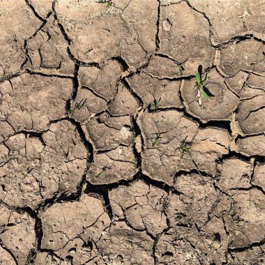 Çatlak yeryüzü arka planı. Toprak yüzeyinde çatlaklar var. Çamur çatlakları.