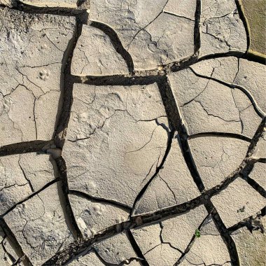 Çatlak yeryüzü arka planı. Toprak yüzeyinde çatlaklar var. Çamur çatlakları.
