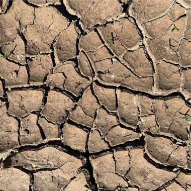 Çatlak yeryüzü arka planı. Toprak yüzeyinde çatlaklar var. Çamur çatlakları.