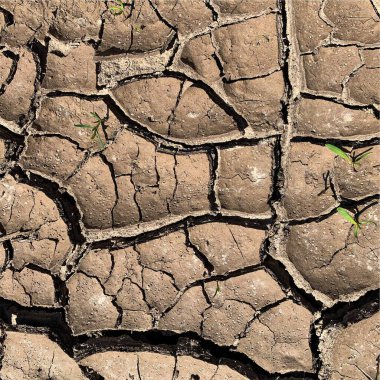 Çatlak yeryüzü arka planı. Toprak yüzeyinde çatlaklar var. Çamur çatlakları.