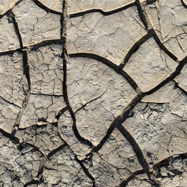 Çatlak yeryüzü arka planı. Toprak yüzeyinde çatlaklar var. Çamur çatlakları.