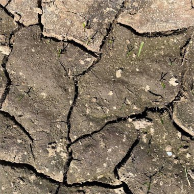 Çatlak yeryüzü arka planı. Toprak yüzeyinde çatlaklar var. Çamur çatlakları.
