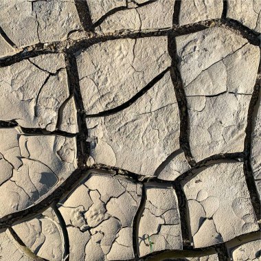 Çatlak yeryüzü arka planı. Toprak yüzeyinde çatlaklar var. Çamur çatlakları.