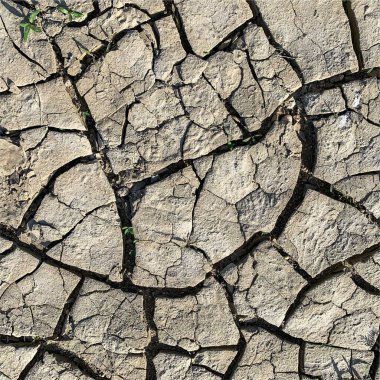 Çatlak yeryüzü arka planı. Toprak yüzeyinde çatlaklar var. Çamur çatlakları.