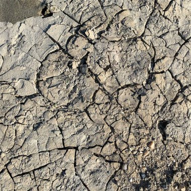 Çatlak yeryüzü arka planı. Toprak yüzeyinde çatlaklar var. Çamur çatlakları.