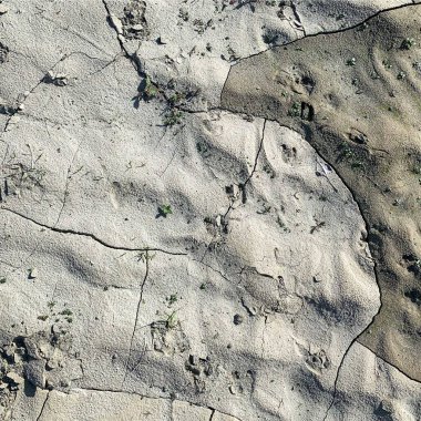 Çatlak yeryüzü arka planı. Toprak yüzeyinde çatlaklar var. Çamur çatlakları.