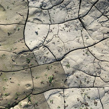 Çatlak yeryüzü arka planı. Toprak yüzeyinde çatlaklar var. Çamur çatlakları.