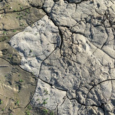 Çatlak yeryüzü arka planı. Toprak yüzeyinde çatlaklar var. Çamur çatlakları.